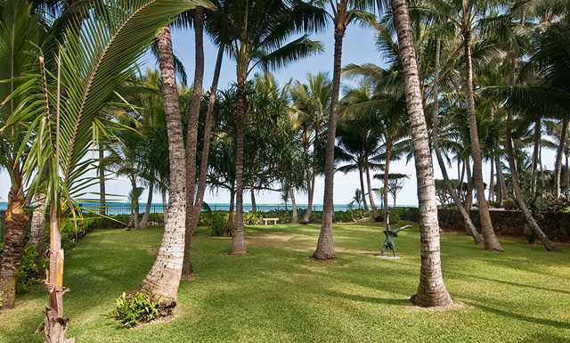 Beachfront Kailua - old Hawaii feel with grove of